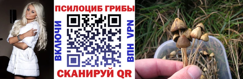 omg ССЫЛКА где купить Ряжск Псилоцибиновые грибы Psilocybe